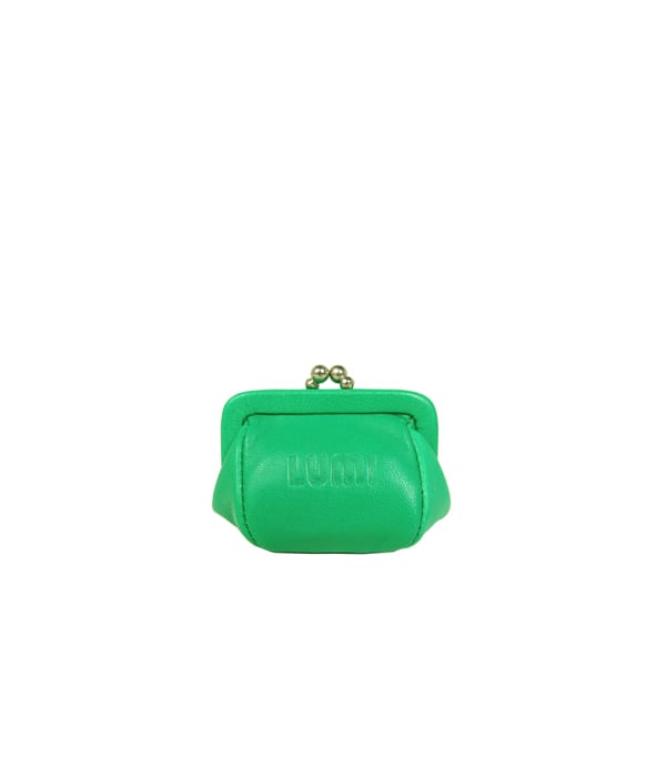 Lumi Accessories