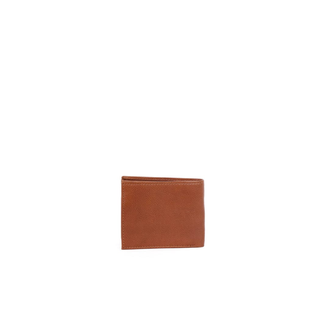 Lumi Accessories