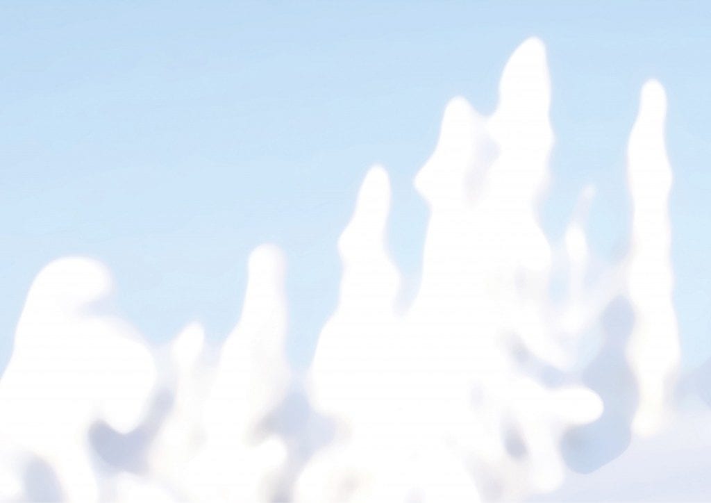 Lumi Accessories