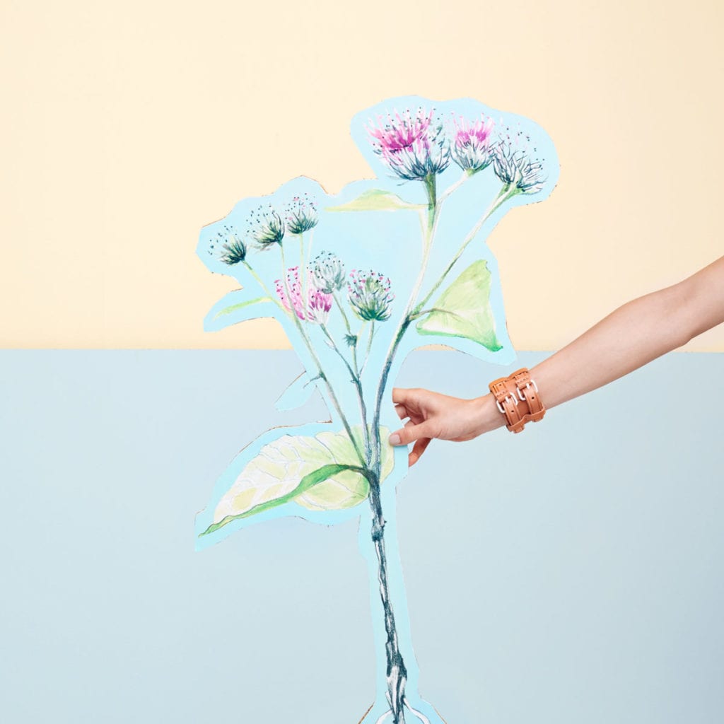 Lumi Accessories