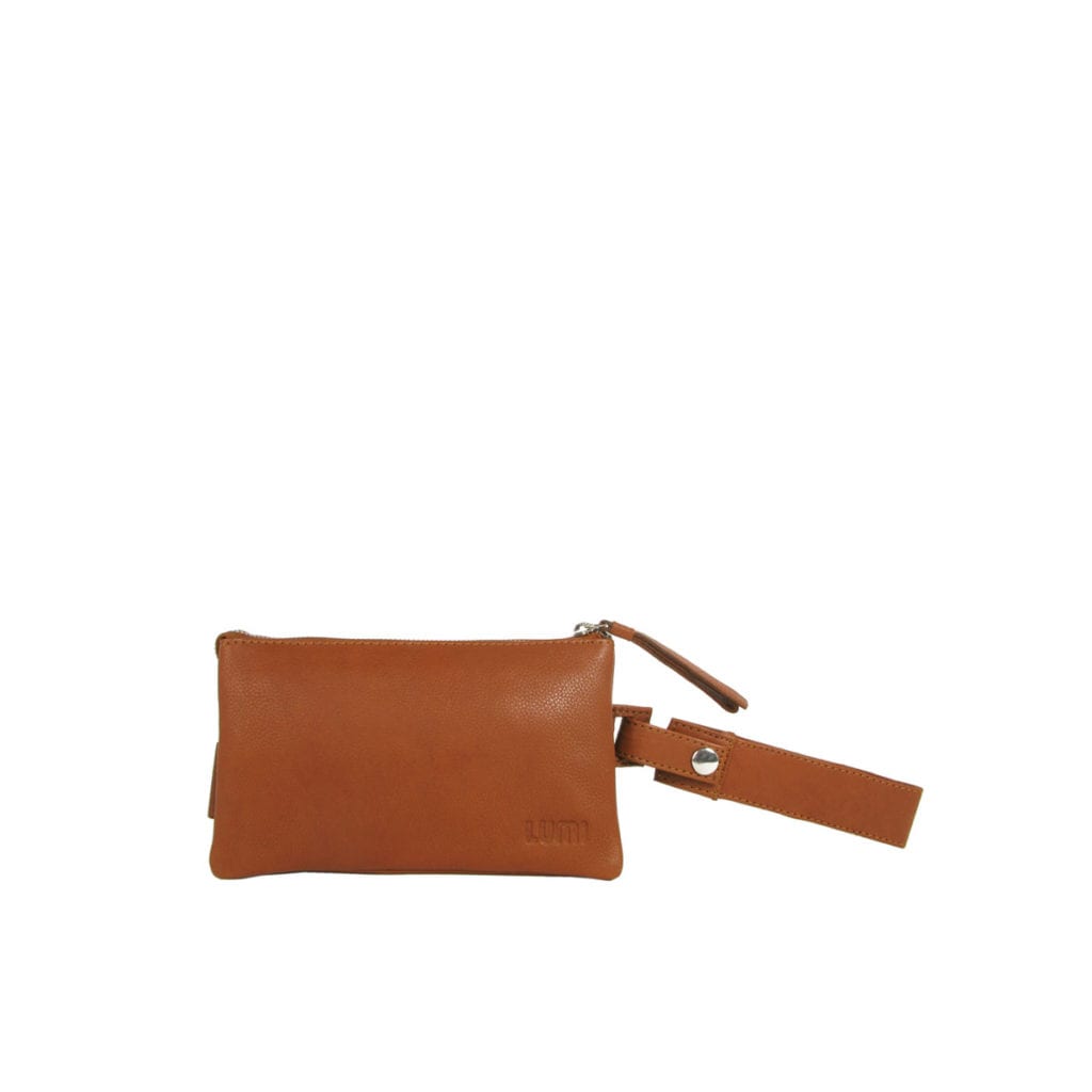 Lumi Accessories