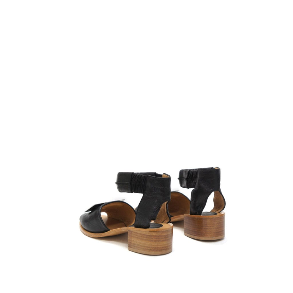 Lumi Accessories