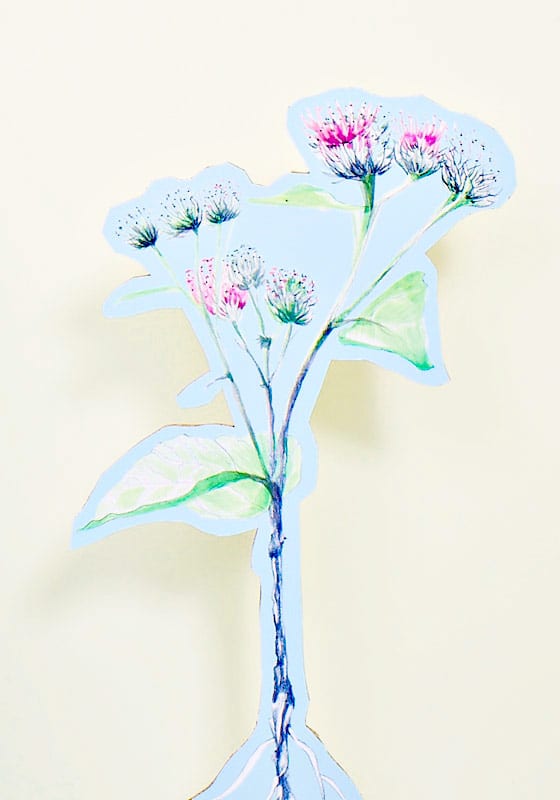 Lumi Accessories