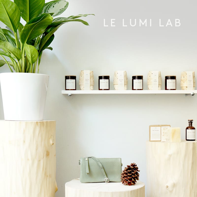Lumi Accessories
