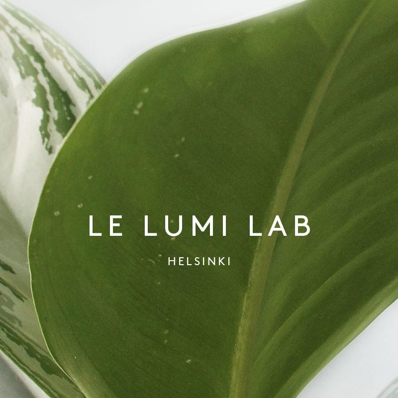 Lumi Accessories