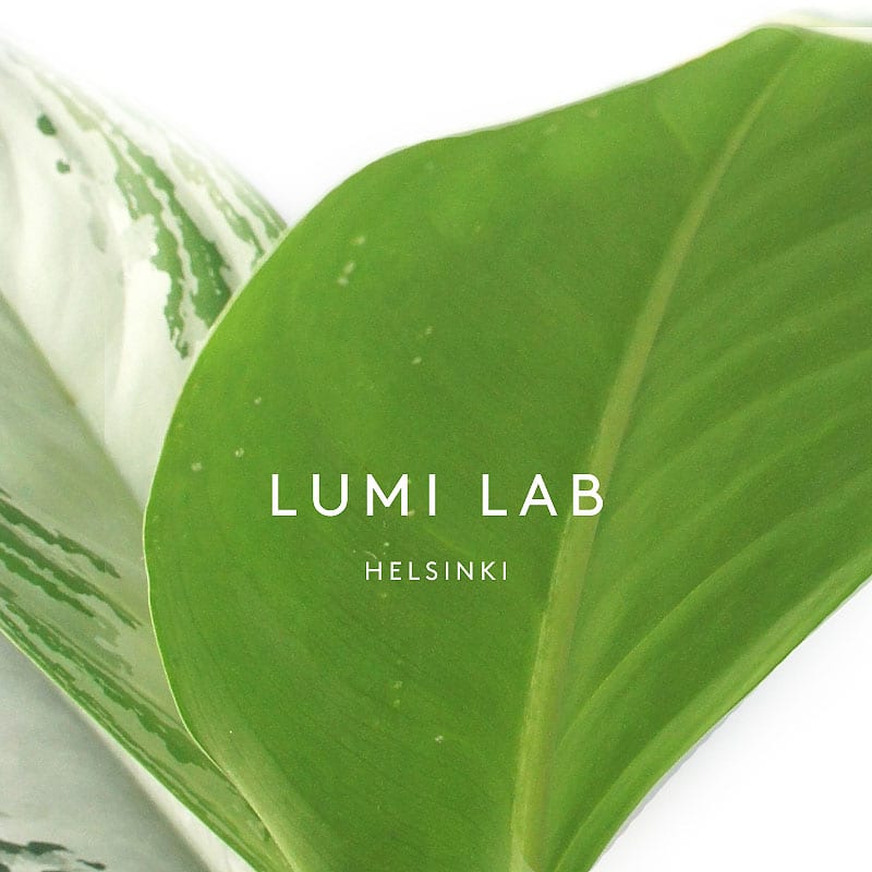 Lumi Accessories