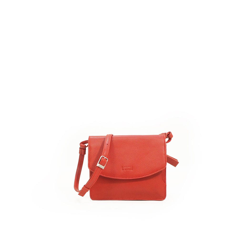 Lumi Accessories