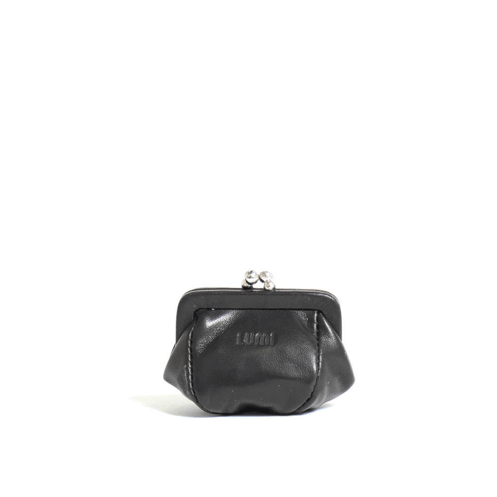Lumi Accessories