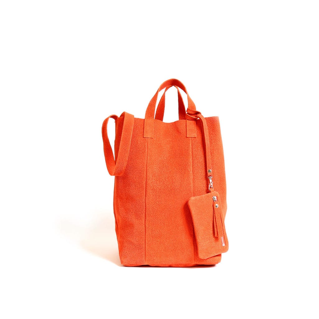 Lumi Accessories