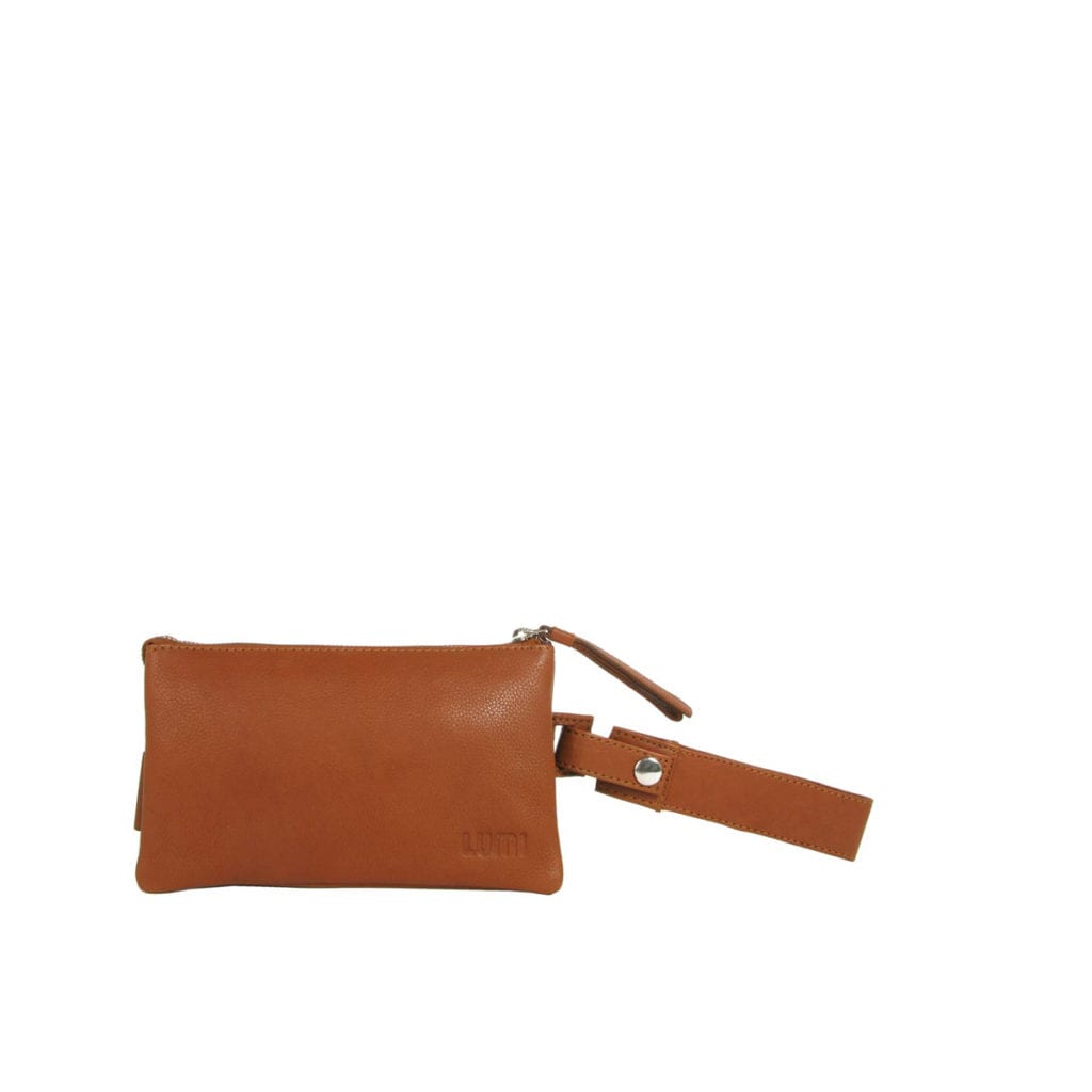 Lumi Accessories