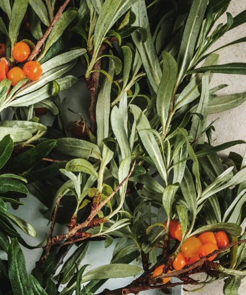 LUMI Kaamos scent features sea buckthorn