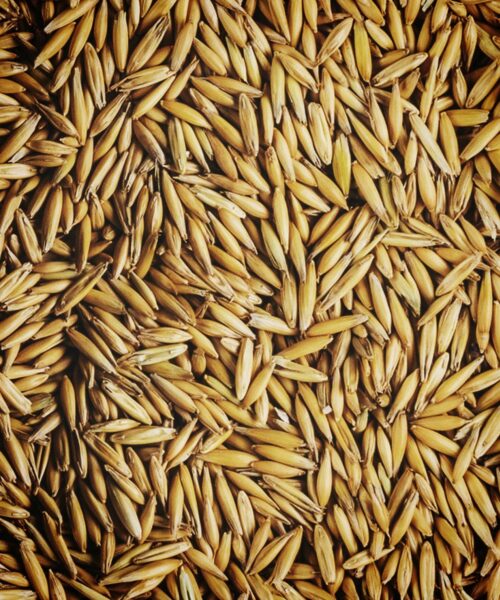 LUMI Yötön Yö scent features oat