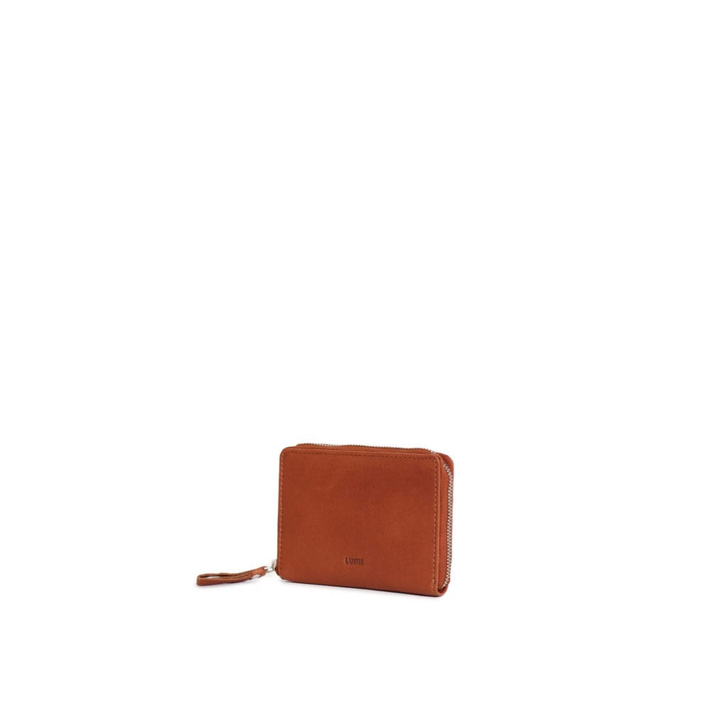 Lumi Accessories