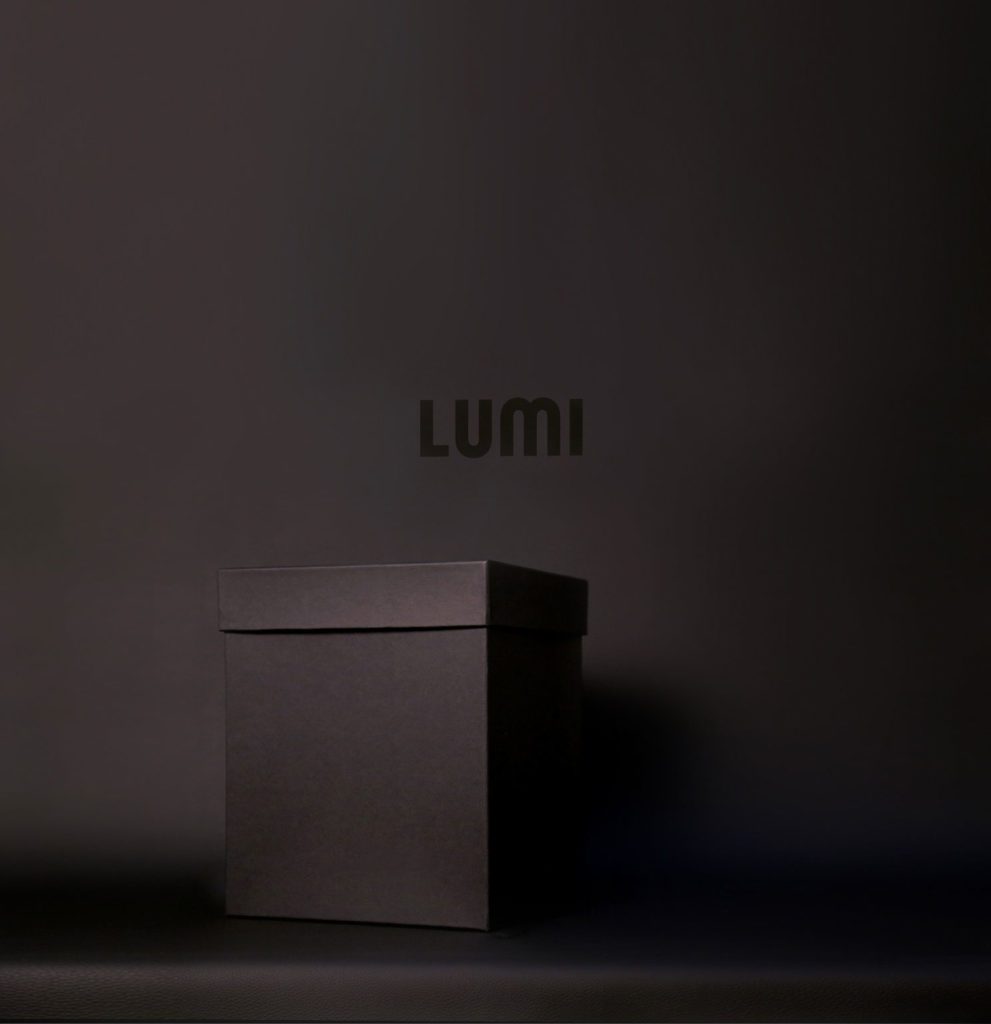 Lumi Accessories