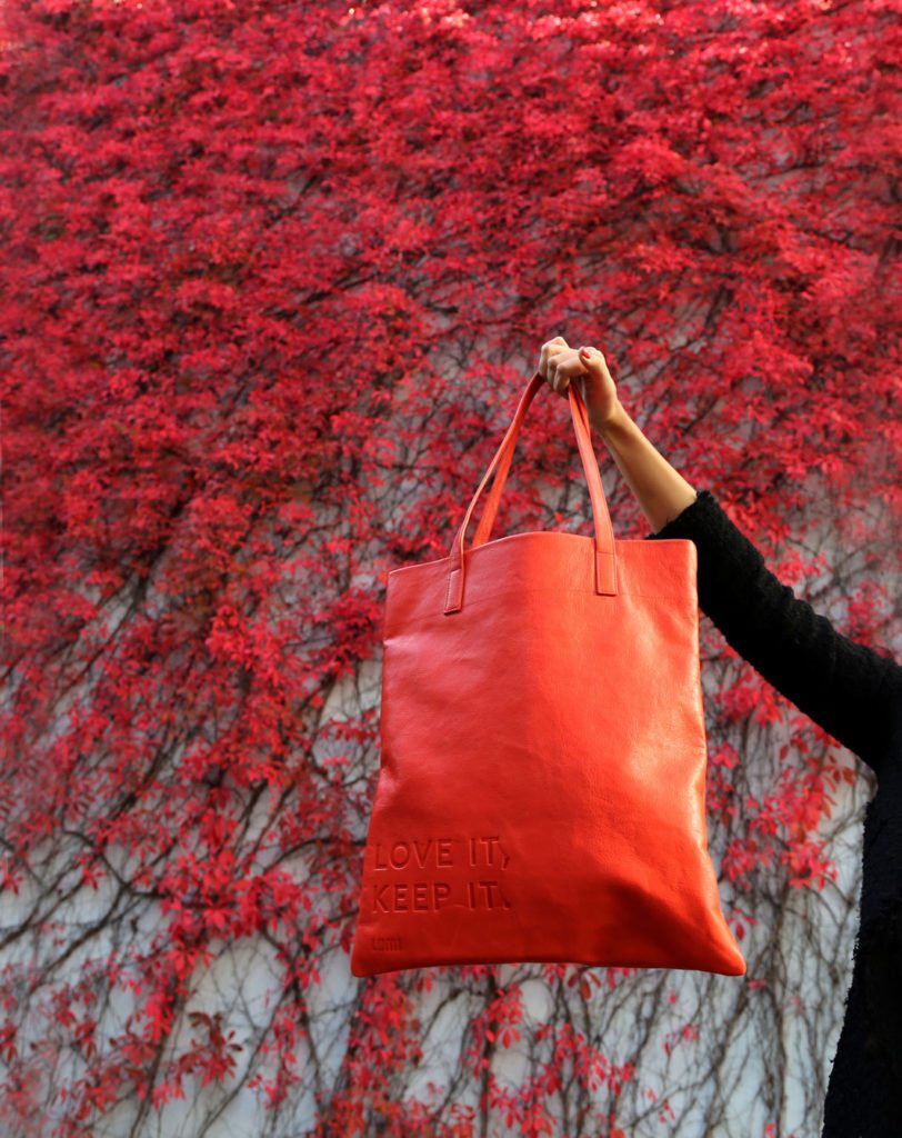 Lumi Accessories